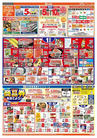 9/1-4  アークスデー