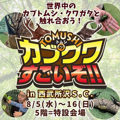 世界中のカブトムシ・クワガタと触れ合おう!(所沢)