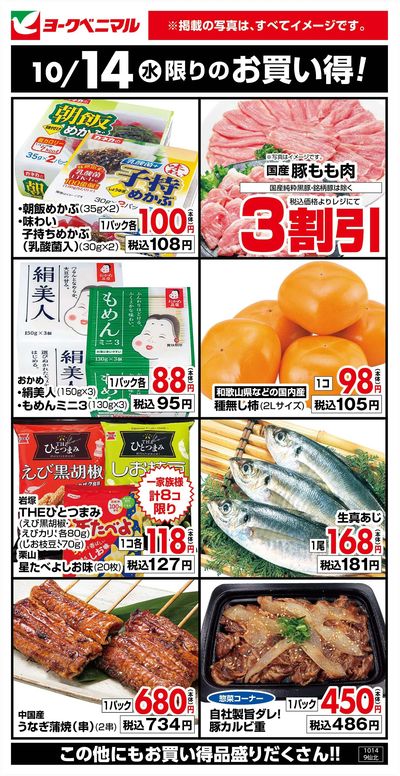10/14限りのお買い得!