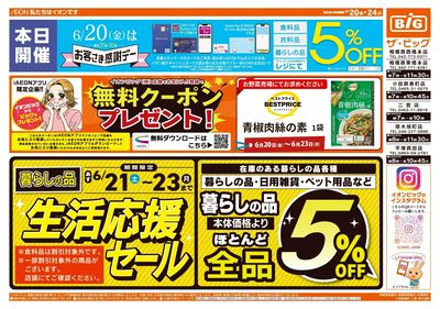 6月20日号週末チラシ(おもて)