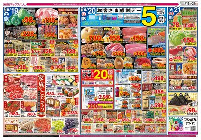 9/19号 イオン100周年/お客さま感謝デー:ウラ