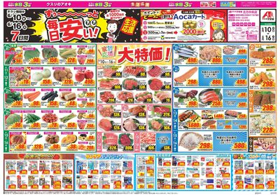 6月10日開始チラシ:表