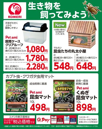 生き物を飼ってみよう