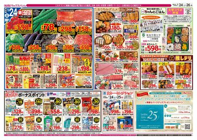 1/24号 カメさんデー:オモテ