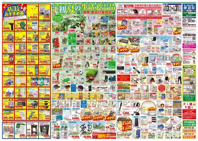 初夏の生活必需品