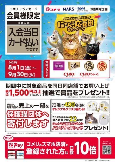 保護猫もあなたの猫も笑顔に!にゃんこ応援団キャンペーン