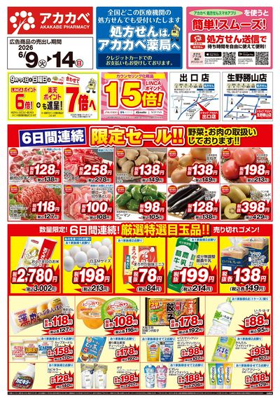 6月の店舗限定チラシ オモテ