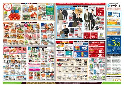 2/14号 春色グルメ