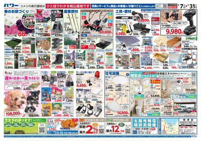 コメリパワー 3/7号 決算市 ウラ