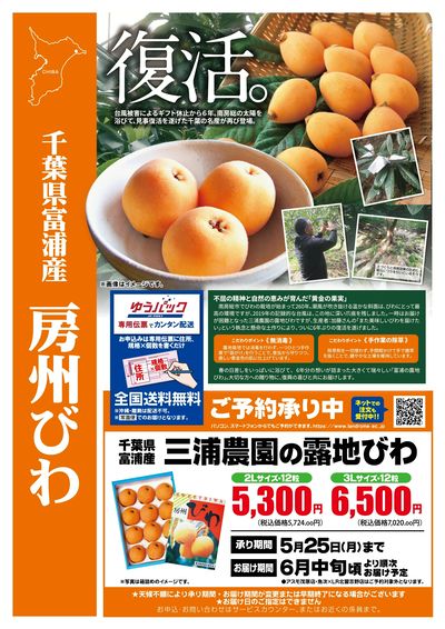 産直・房州びわ