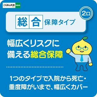 総合保障タイプ 2口