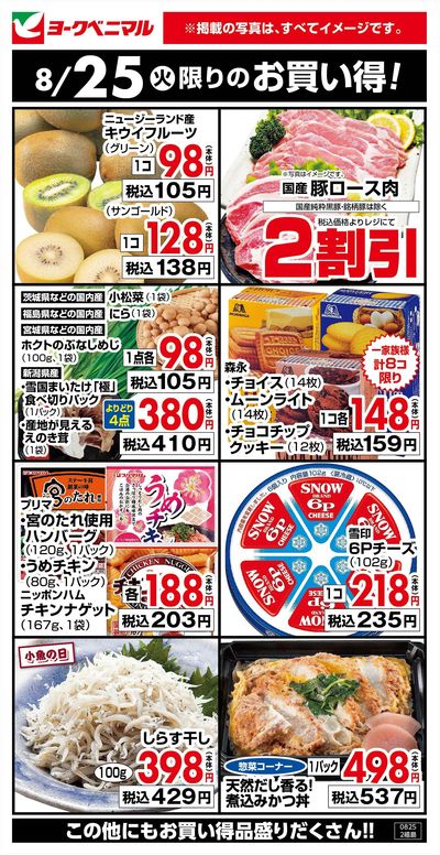 8/25限りのお買い得!