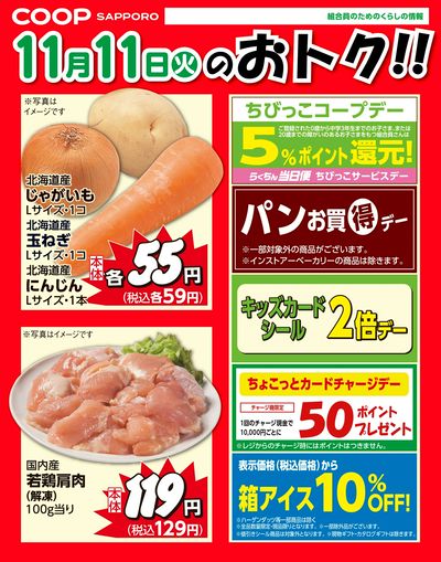 11月11日お買得品