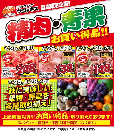 9/25~9/28 ウェルネス生鮮LINEチラシ-1・2