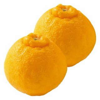 しらぬい(中玉サイズ)