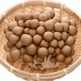 福岡産 ぶなしめじ 1袋・約170g入