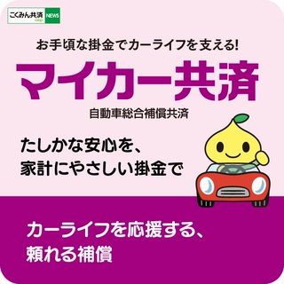 マイカー共済