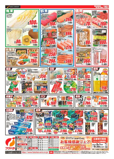 ジャンパラ他 チラシ ジャンパラ！（ジャンプパラダイス )セット ジャンプコミックス
