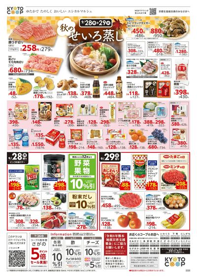 9月28日~9月29日チラシ裏
