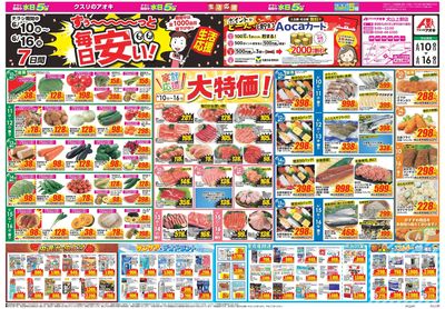 6月10日開始チラシ:表