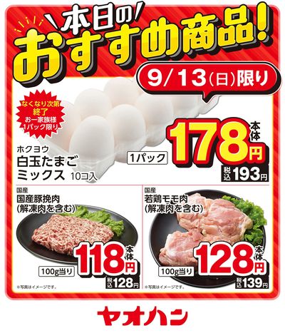 本日のおすすめ商品!