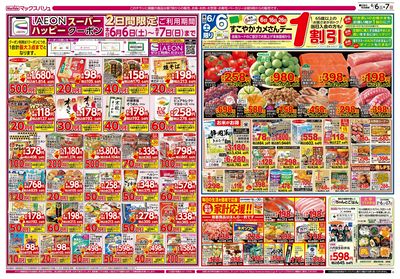 6/6号 カメさんデー/マックスサンデー/初夏の中華:オモテ