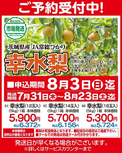 茨城県産 JA常総ひかり 幸水梨 ご予約受付中!