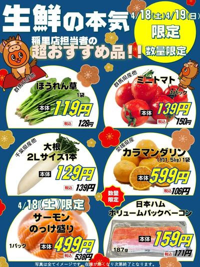 今週の生鮮おすすめ商品♪