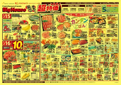 ビッグハウス安さ爆発!超特価