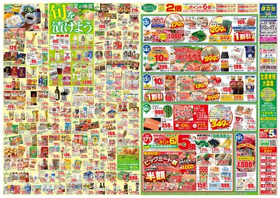 初夏の味覚 旬を漬けよう