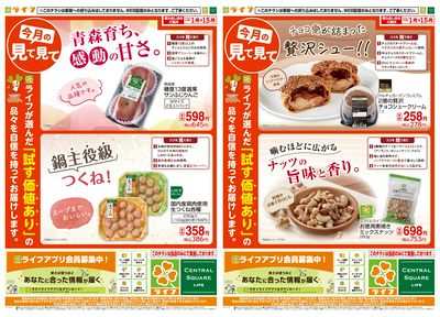 今月の見て見て