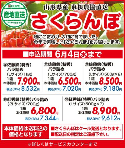 山形県産 東根農協直送 さくらんぼ
