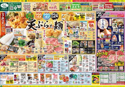 9/19号 裏