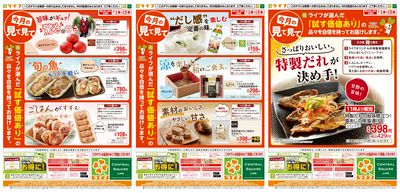 今月の見て見て