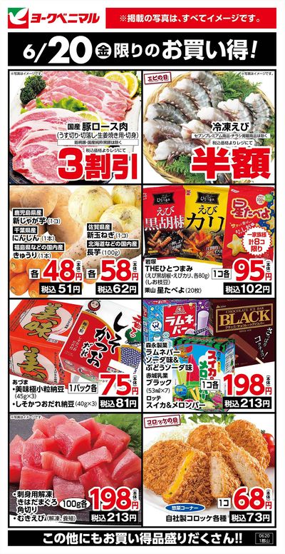 6/20限りのお買い得!