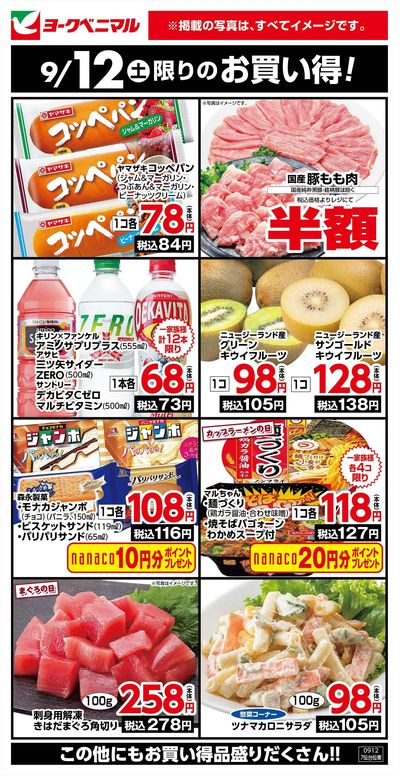 9/12限りのお買い得!