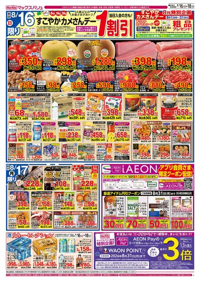 8/16号 カメさんデー/火水曜市:オモテ