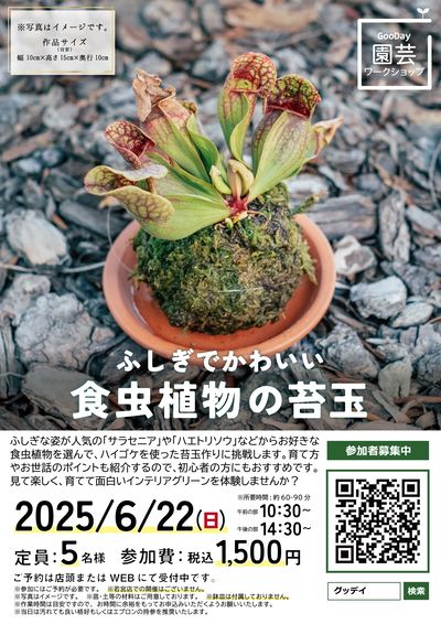 20250622開催_食虫植物の苔玉ワークショップ
