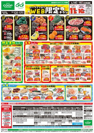 3/12号 WEB限定チラシ