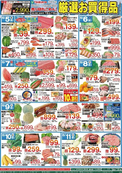 6/5号 厳選お買得品